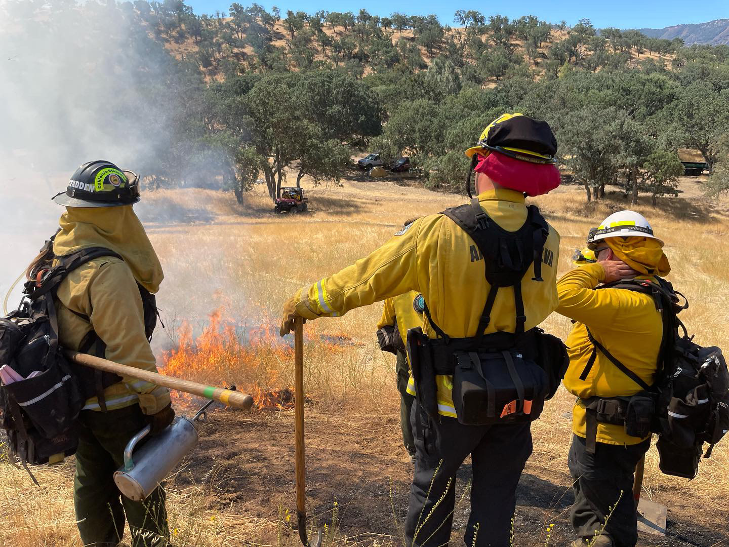 Harnessing the Power of Prescribed Fire: A Crucial Tool for Ecosystem Health