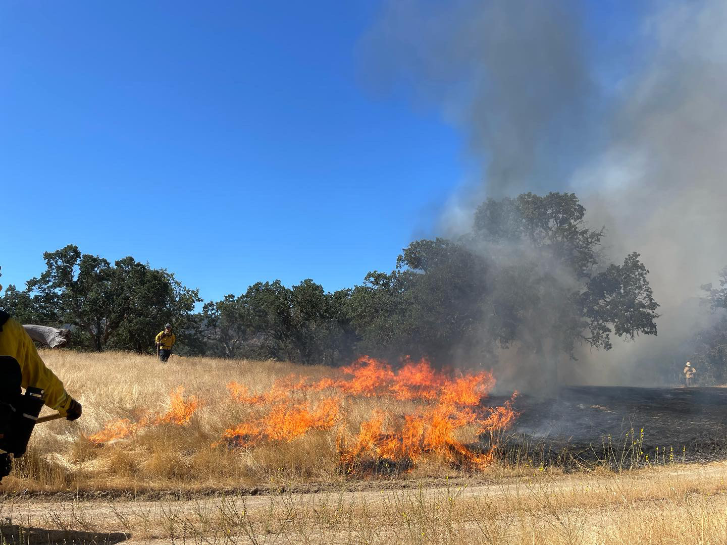 California Prescribed Fire Claims Fund: Fanning the Flames of Responsible Land Management