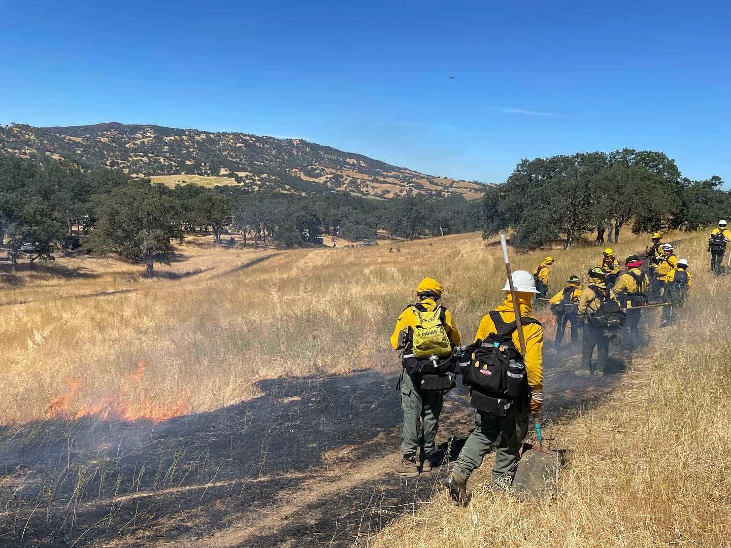  Fanning the Flames of Change: California's Progressive Approach to Prescribed Fire