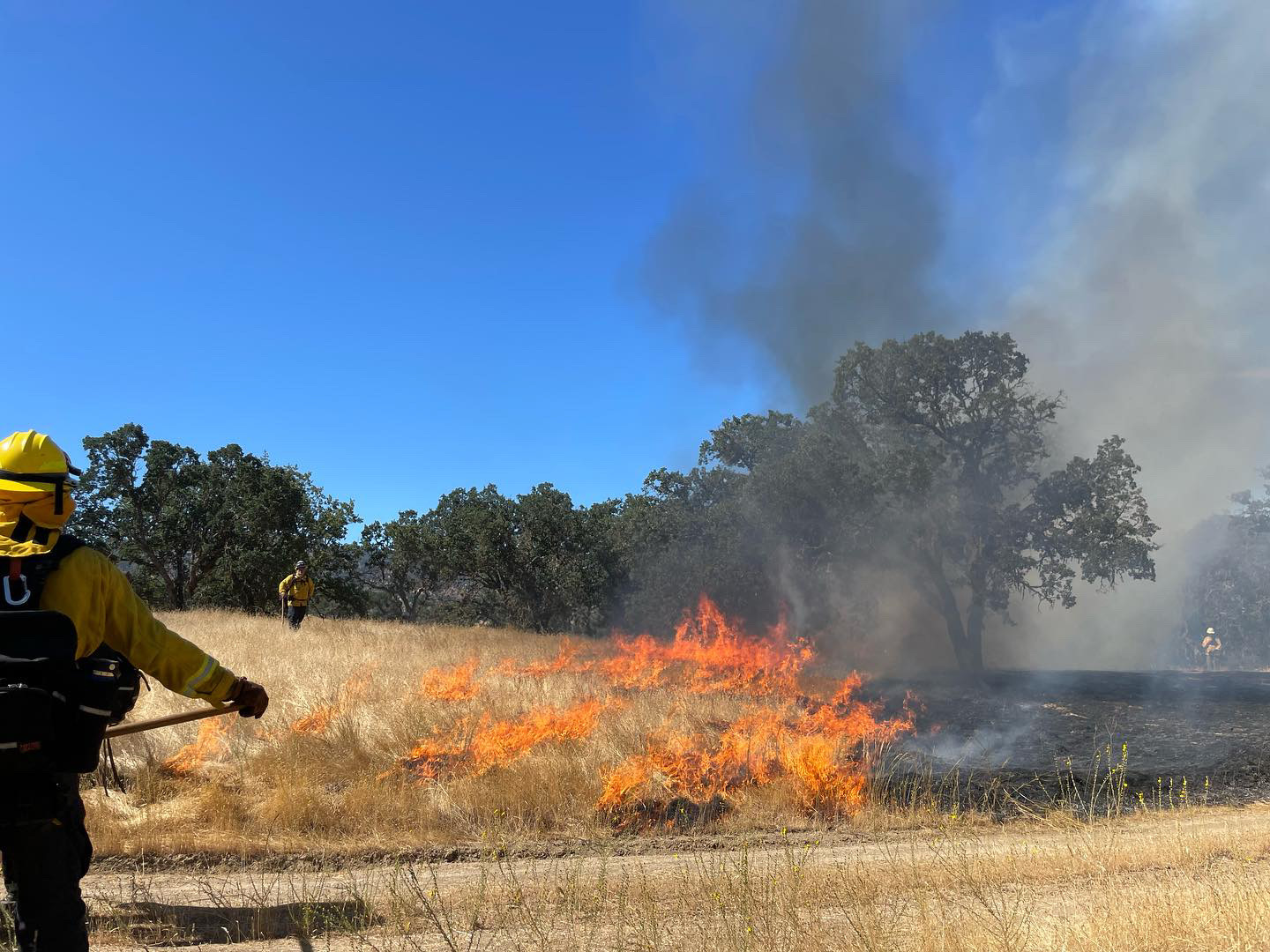 Navigating the Flames: Prescribed Fire in California and the Regulatory Landscape