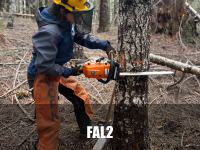 INTERMEDIATE FALLER (FAL2) TRAINEE